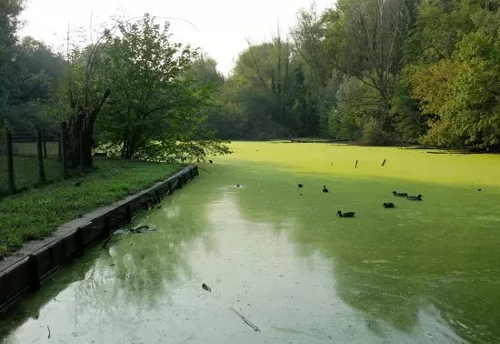 Parco della Vernavola