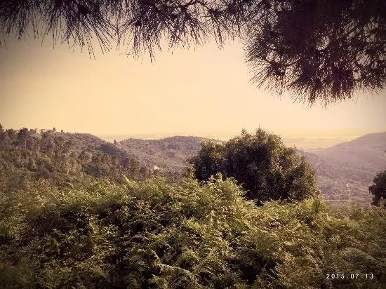Sentiero n. 7b - Via delle Ginestre