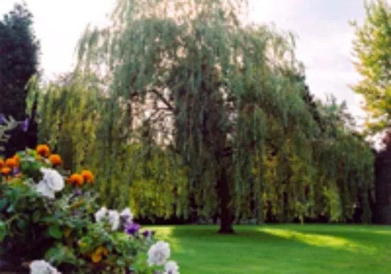 The Grange Courtyard