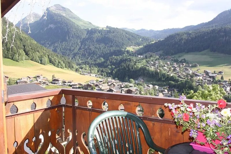 Morzine appt 1ch. 2-3 p beautiful views south to 200 m. Free shuttles