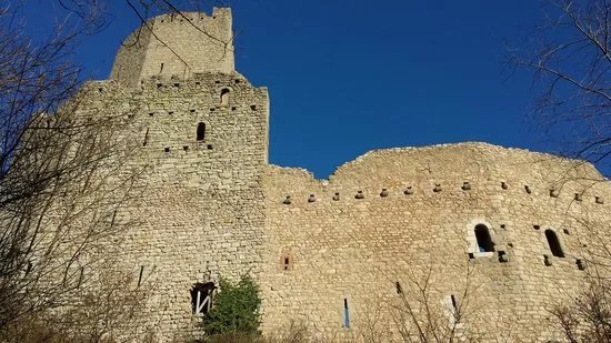 Ortenbourg Castle