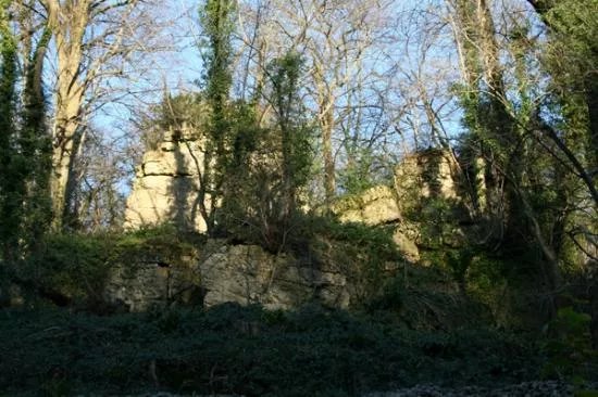 Anston Stones Wood