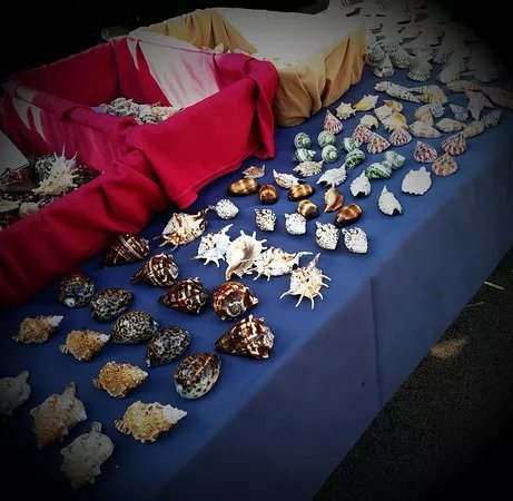 Le Marche de Bandol