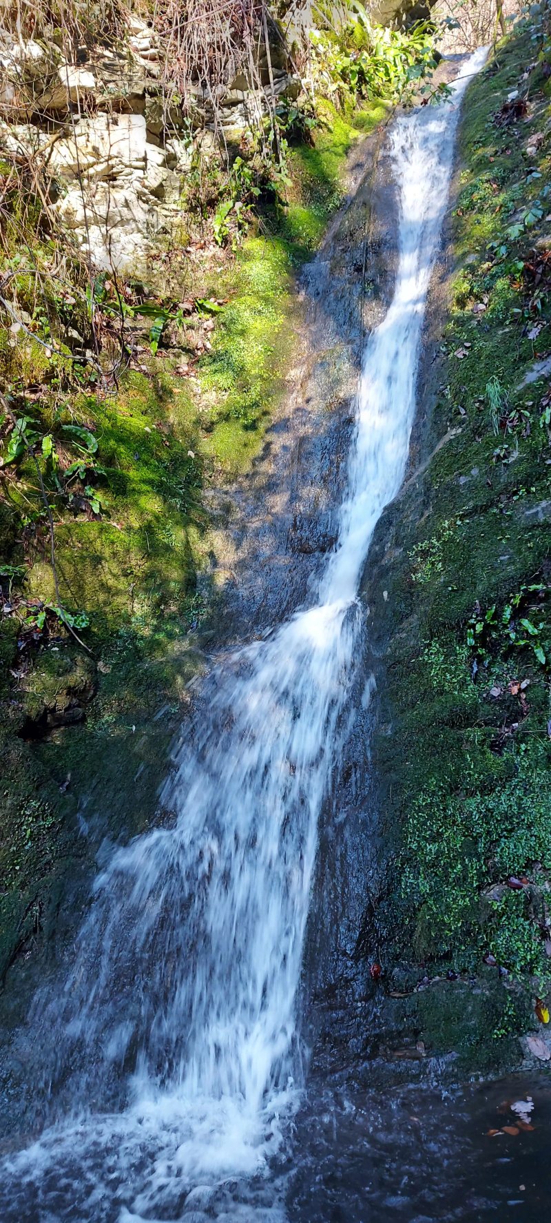 Gorghi Scuri