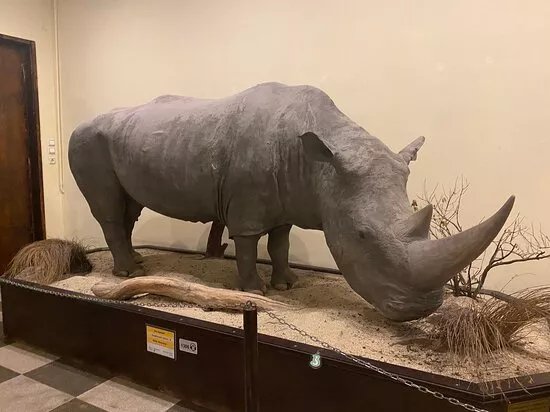 National Museum of Natural History, Sofia