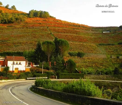 Quinta da Gaivosa