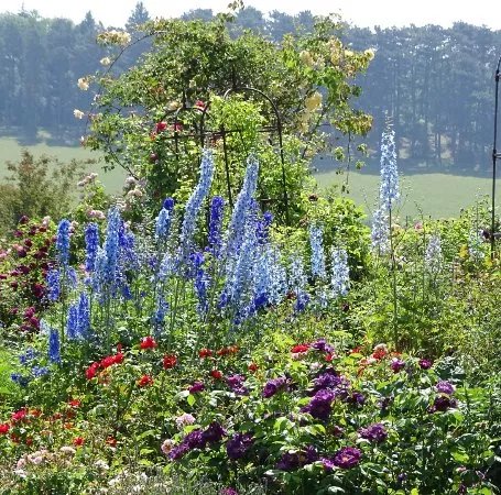 Botanischer Garten der Universitat Ulm