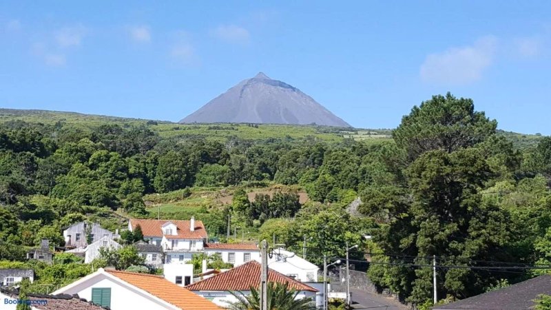 Casavo