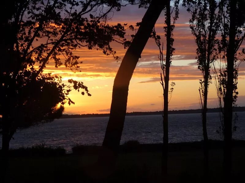 In the heart of a wooded park, the beach at your feet