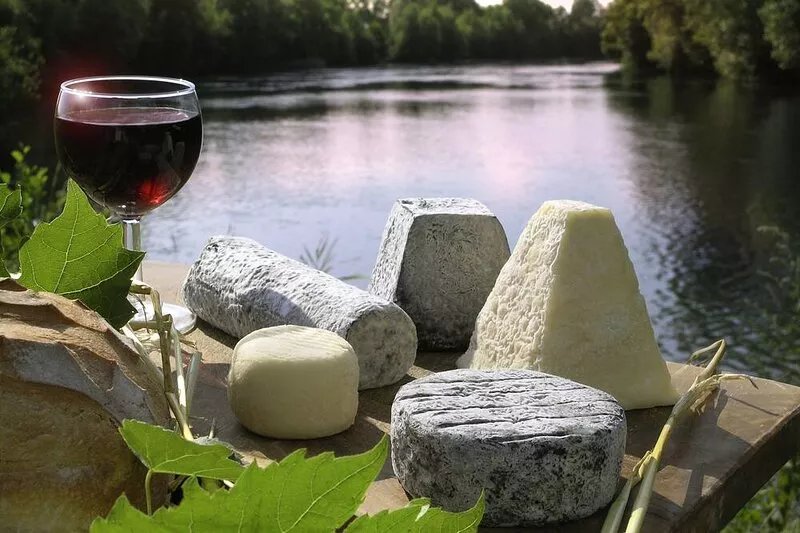 Vacation Home Rentals. Loire Valley and its castles. Calm. Paris 1:30