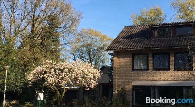 Bed & Breakfast de IJsvogel