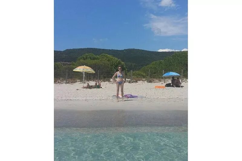 Renovated beach housePalombaggia on foot180° sea view-protected site