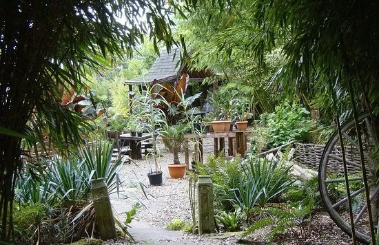 Henstead Exotic Garden
