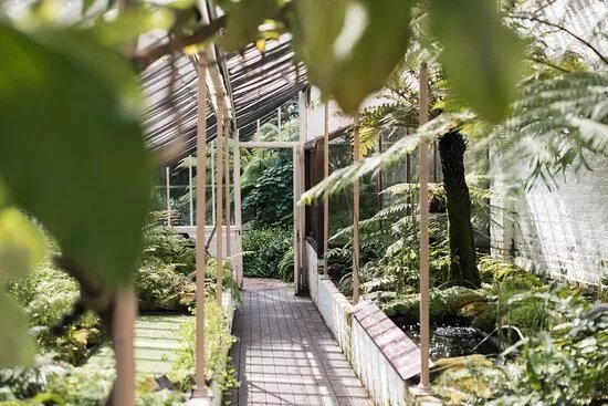 Chelsea Physic Garden
