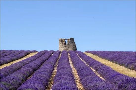 Boutique Le Chateau du Bois Provence