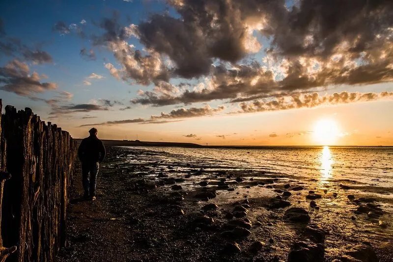 Prachtig Huisje in het Groen met Uitzicht Over de Landerijen, aan de Waddenkust