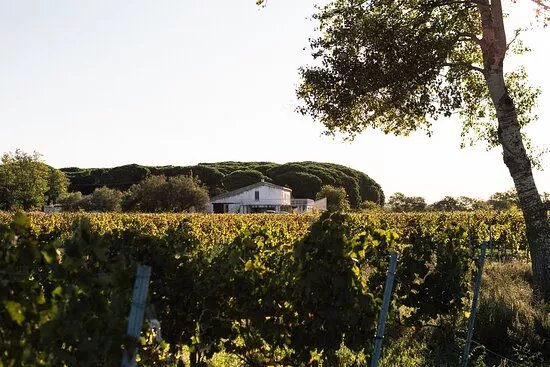 Domaine du Petit Saint-Jean