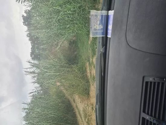 Il Giardino di Zeus - Circolo Ippico I cavalieri di Zeus