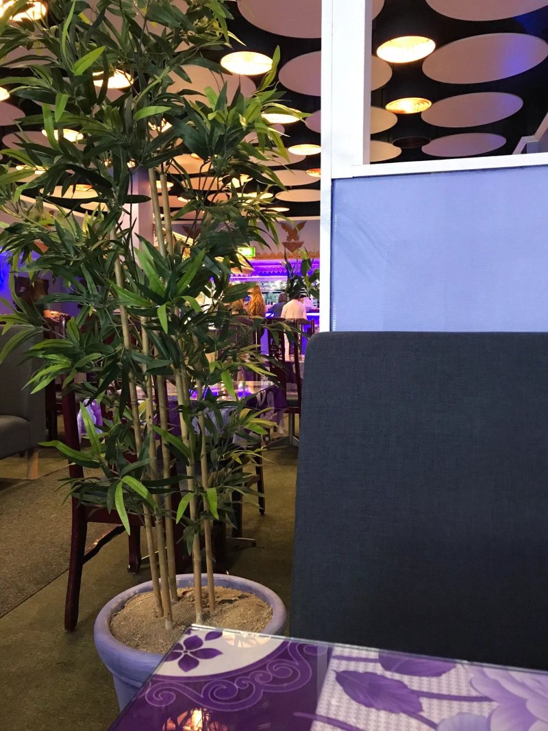 Chili Thai Restaurant