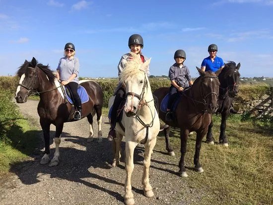 Newton Equestrian Holidays