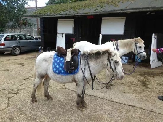 Burley-Villa School of Riding