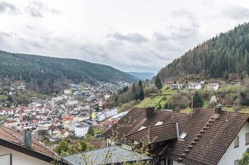 Studio Apartment 'Fewo-Rennbächle' with Mountain View, Terrace & Wi-Fi