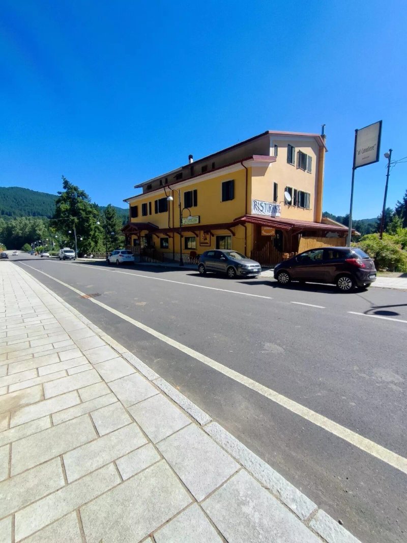 B&B Al Cavaliere