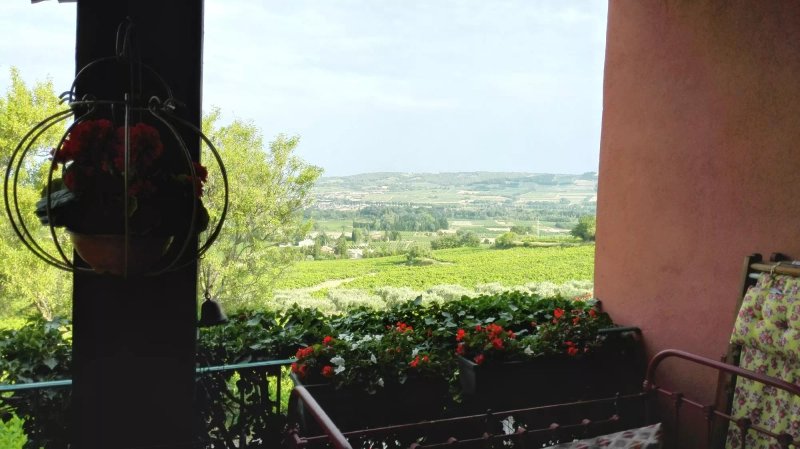 Chambres d'Hote L'Olivier