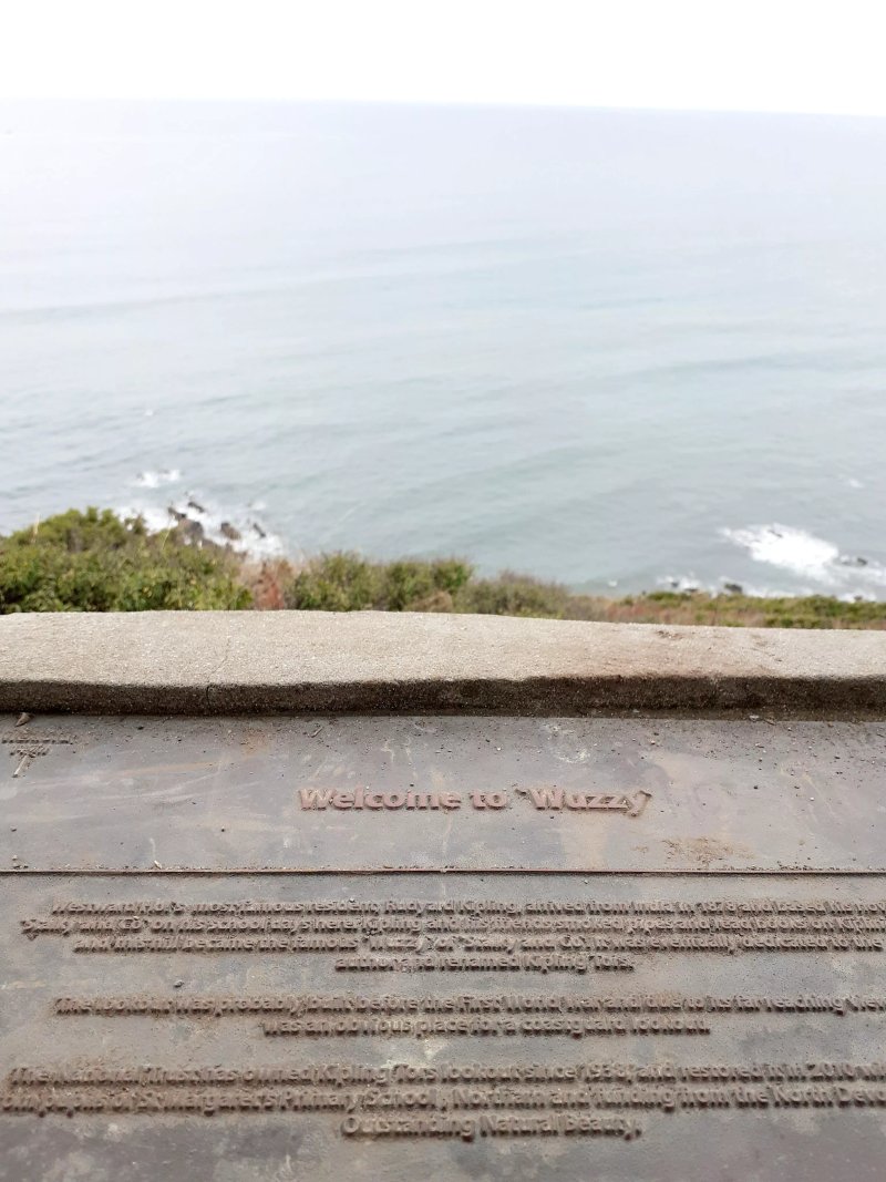 The Wuzzy Lookout