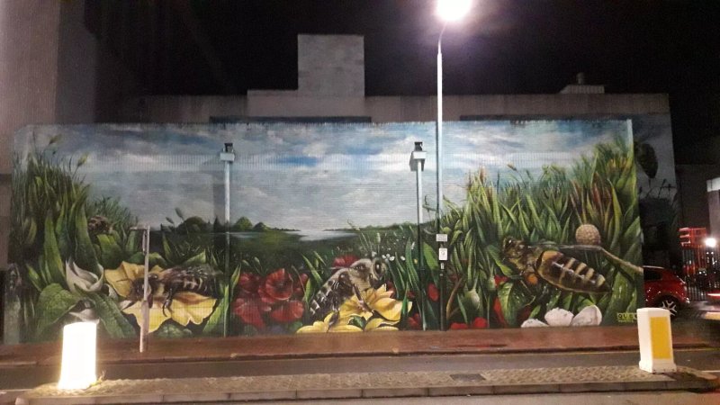 Beeston Street Art