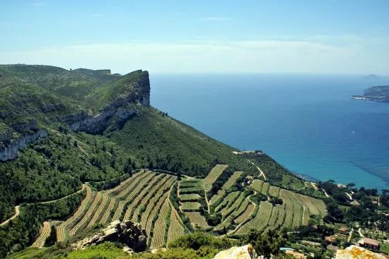 Provence Amazing Tours