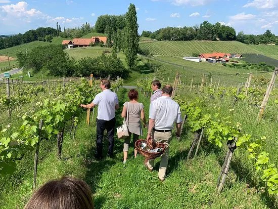 Weingut Soll