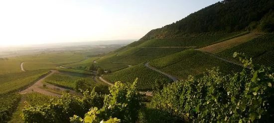 Weingut Hans Wirsching