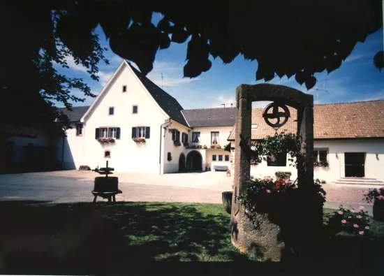 Domaine Marie et Cecile Albrecht - Bleger