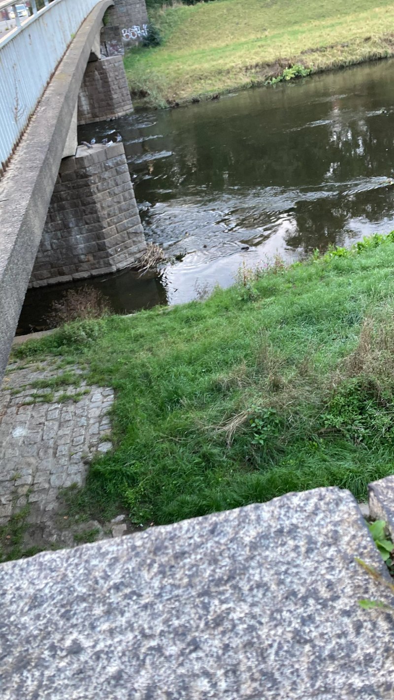 Muldebrucke Zwickau