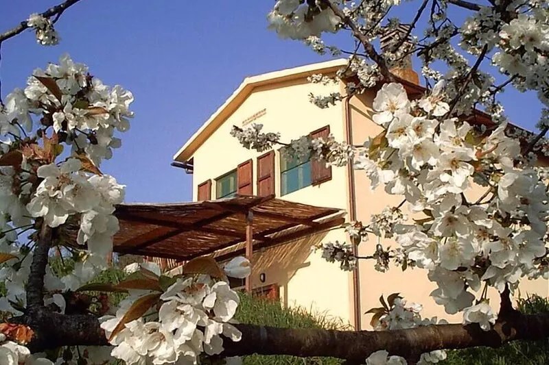 Podere Mazzana: houses in Marti - Montopoli Val d'Arno