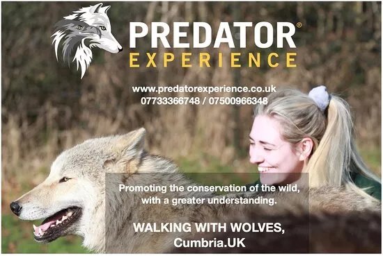 Predator Park