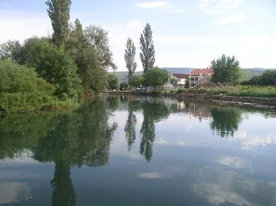 Vrljika