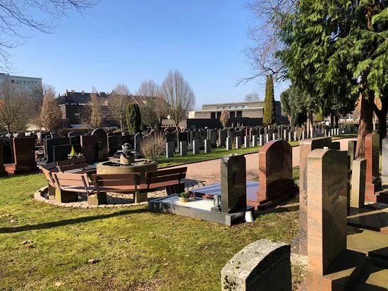 The New Jewish Cemetery