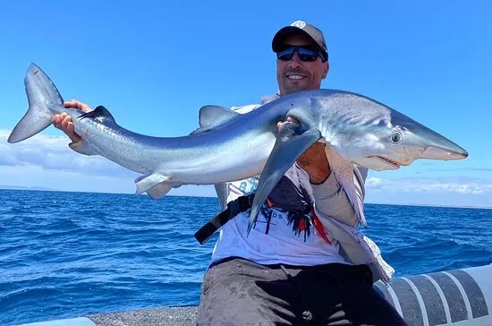 Go Fishing Portugal - Sesimbra