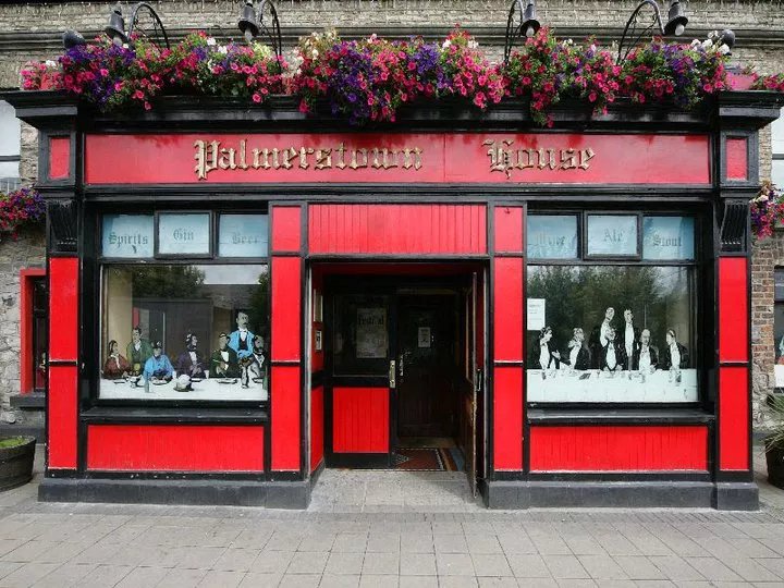 Palmerstown House