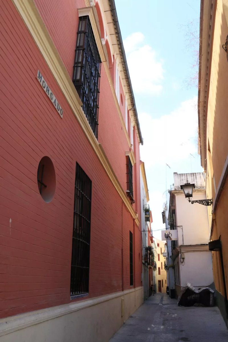 Apartamentos Morgado