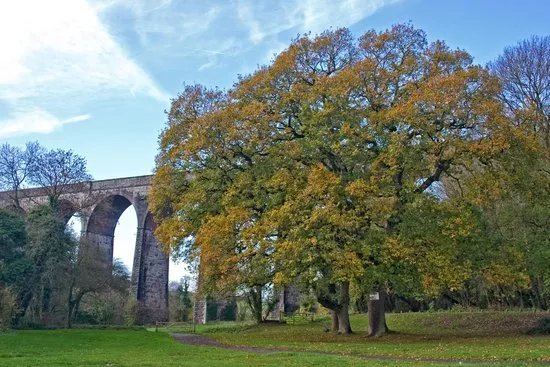 Porthkerry Country Park