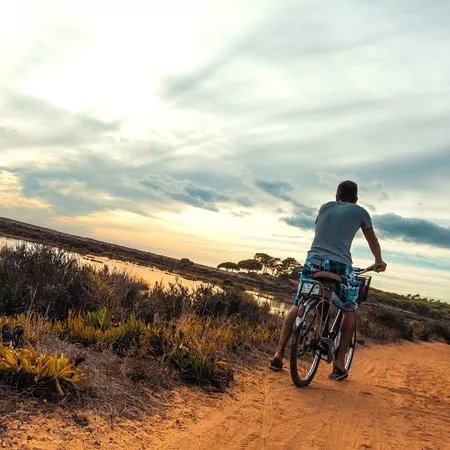 Bike A Wish, Bike Rental & Tours