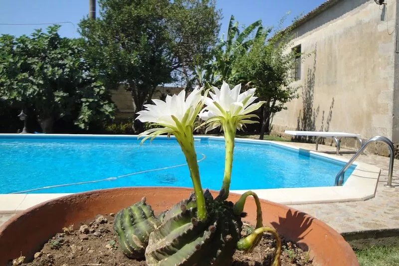 Oasis of peace and relaxation just 3 minutes from the beach.