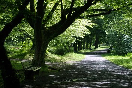 Steinway-Park Seesen
