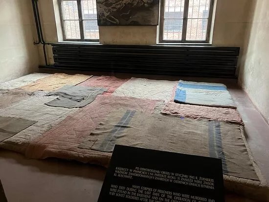 Nederlandstalige Gids Krakau En Auschwitz