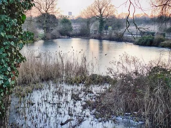 Stockwood Park