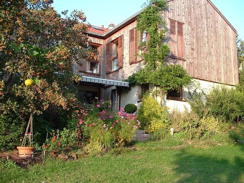 Very pleasant well equipped gîte for 12 in the heart of the northern Vosges