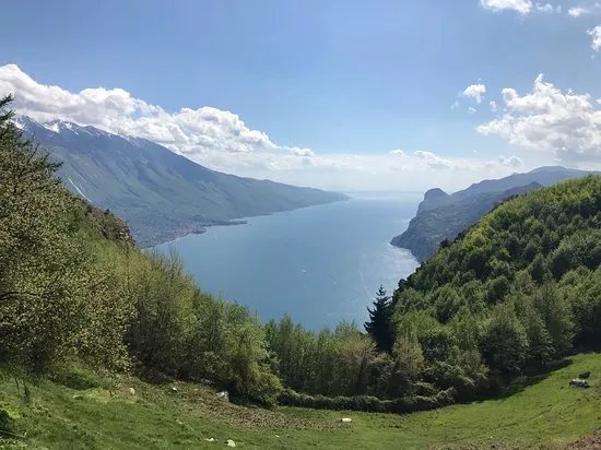Punta Larici
